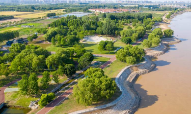 山东现代立体绿化设计，提升城市生态，打造绿色空间