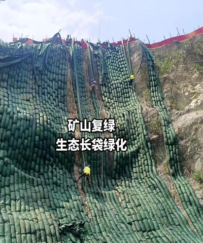 甜玉米栽培技术要点，选种育苗，田间管理