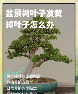 甜玉米栽培技术要点，选种育苗，田间管理