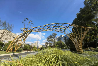 桑椹树病虫防治方法，常见问题解析，实用应对技巧