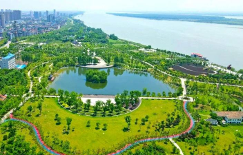 桑椹树病虫防治方法，常见问题解析，实用应对技巧