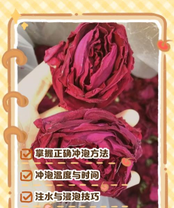 桑椹树病虫防治方法，常见问题解析，实用应对技巧