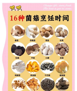 桑椹树病虫防治方法，常见问题解析，实用应对技巧