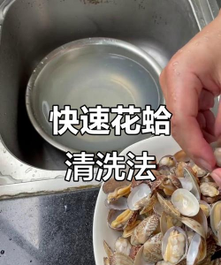 桑椹树病虫防治方法，常见问题解析，实用应对技巧