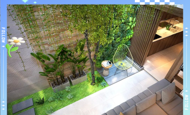 桑椹树病虫防治方法，常见问题解析，实用应对技巧