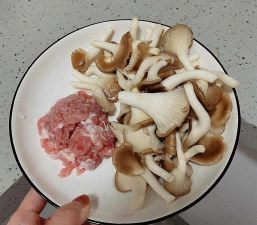 桑椹树病虫防治方法，常见问题解析，实用应对技巧