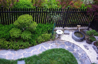 桑椹树病虫防治方法，常见问题解析，实用应对技巧