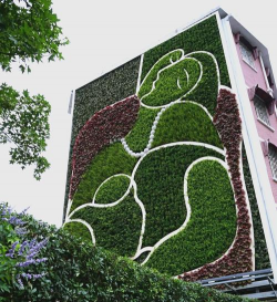 桑椹树病虫防治方法，常见问题解析，实用应对技巧