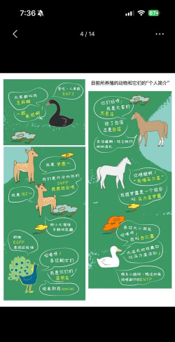 草果栽培，掌握关键技巧，实现高产稳收