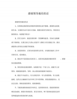 草果栽培，掌握关键技巧，实现高产稳收