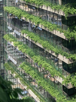 青海垂直绿化设计,提升城市生态,改善居住环境 青海垂直绿化设计,提升城市生态,改善居住环境