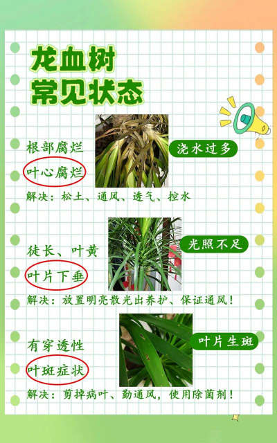 树枯萎如何防治,找准原因,对症下药 树枯萎如何防治,找准原因,对症下药