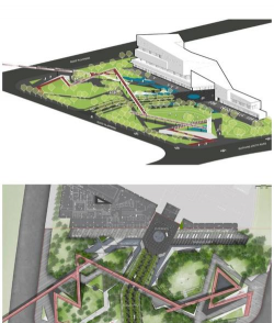 草果栽培，掌握关键技巧，实现高产稳收