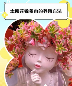 草果栽培，掌握关键技巧，实现高产稳收