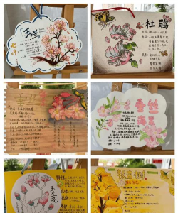 绿化设计寄语怎么写，表达心意，传递美好