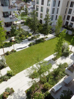 草果栽培，掌握关键技巧，实现高产稳收