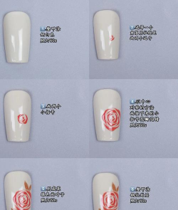 紫荆树白蚁怎么防治，找准方法，避免树木受损