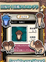 紫荆树白蚁怎么防治，找准方法，避免树木受损