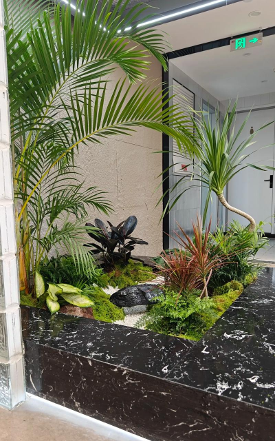 杭州家庭室内绿化设计，提升居住品质，打造自然空间