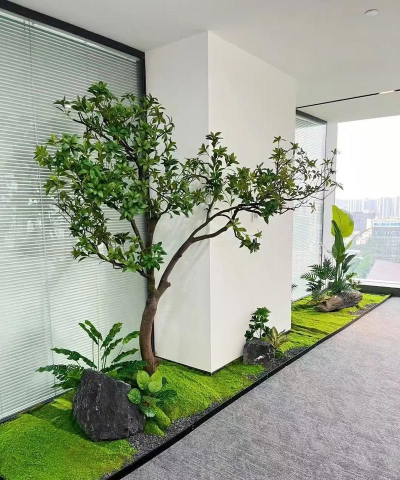 罗汉松的栽培，选对方法，轻松上手