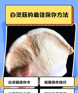 名贵树白蚁防治方法，识别早期迹象，采取有效保护