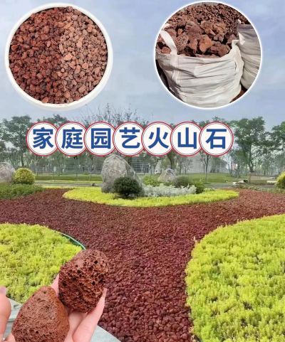 名贵树白蚁防治方法，识别早期迹象，采取有效保护