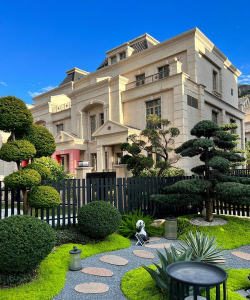 紫荆树白蚁怎么防治，找准方法，避免树木受损