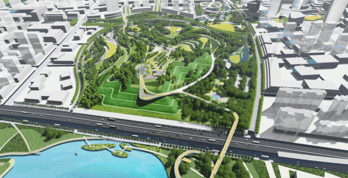 名贵树白蚁防治方法，识别早期迹象，采取有效保护