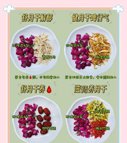 罗汉松的栽培，选对方法，轻松上手