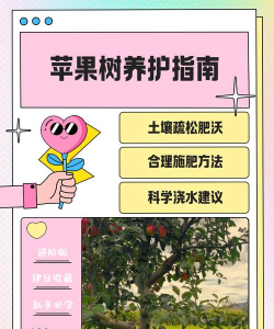 果树一边倒栽培技术，提升产量，优化管理