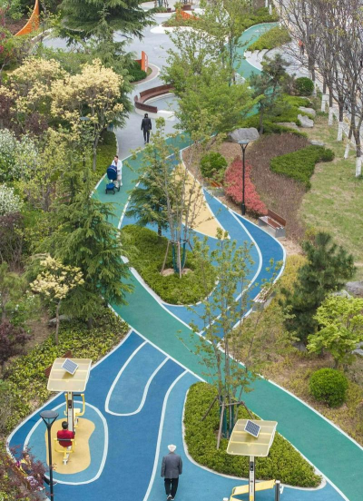 桑椹树病虫防治方法，常见问题解析，实用应对技巧