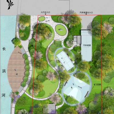 桑椹树病虫防治方法，常见问题解析，实用应对技巧