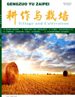 桑椹树病虫防治方法，常见问题解析，实用应对技巧