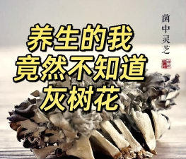 孜子花怎么养，新手入门指南，轻松掌握养护技巧