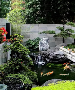 孜子花怎么养，新手入门指南，轻松掌握养护技巧