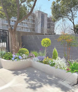 孜子花怎么养，新手入门指南，轻松掌握养护技巧