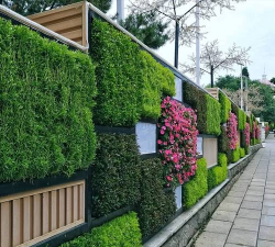 吉林墙体立体绿化设计，提升城市美感，改善居住环境
