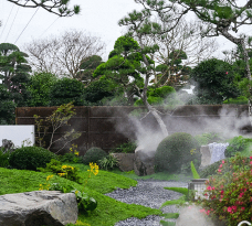桑椹树病虫防治方法，常见问题解析，实用应对技巧