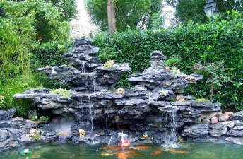 桑椹树病虫防治方法，常见问题解析，实用应对技巧