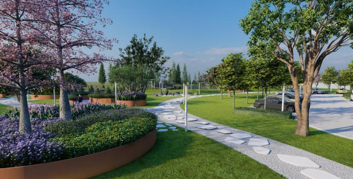 桑椹树病虫防治方法，常见问题解析，实用应对技巧