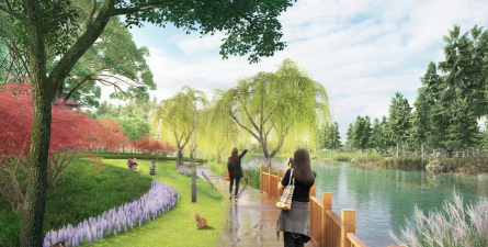 桑椹树病虫防治方法，常见问题解析，实用应对技巧