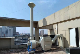 桑椹树病虫防治方法，常见问题解析，实用应对技巧