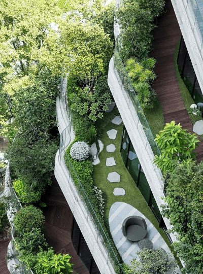 桑椹树病虫防治方法，常见问题解析，实用应对技巧