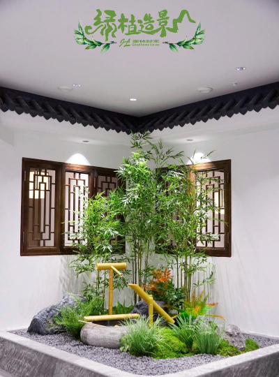 桑椹树病虫防治方法，常见问题解析，实用应对技巧