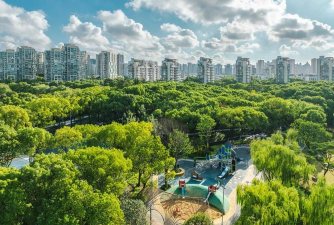 桑椹树病虫防治方法，常见问题解析，实用应对技巧