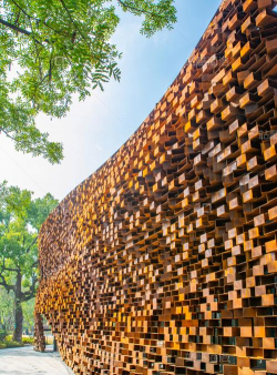 桑椹树病虫防治方法，常见问题解析，实用应对技巧