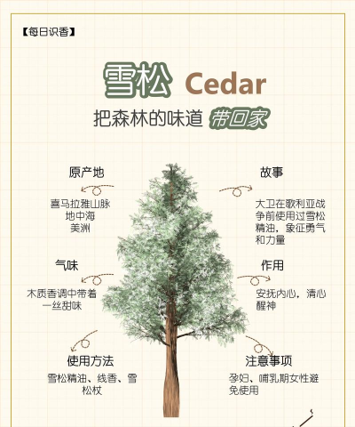 桑椹树病虫防治方法，常见问题解析，实用应对技巧