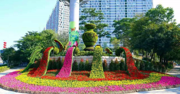 桑椹树病虫防治方法，常见问题解析，实用应对技巧