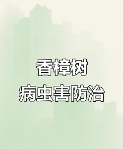 沉香树病害防治方法，识别常见病害，掌握有效应对措施