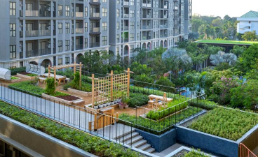 桑椹树病虫防治方法，常见问题解析，实用应对技巧